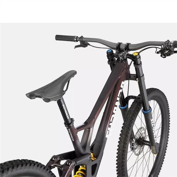 women's downhill mountain bike5