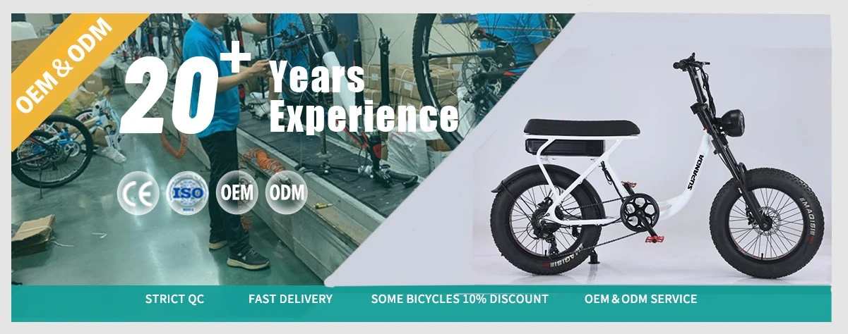 electric city bike manufacture electric city bike manufacture