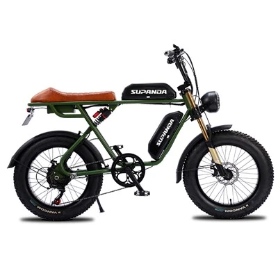 Podwójny silnik Ebike